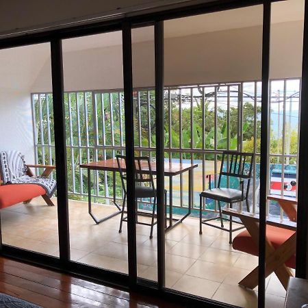 Cockatoo Studio Apartments Мануэль-Антонио Экстерьер фото