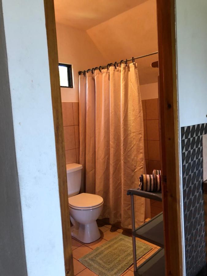 Cockatoo Studio Apartments Мануэль-Антонио Экстерьер фото